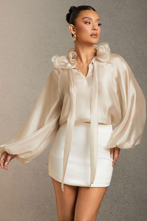 L'Amorae Summer Women Tie Neck Raglan Sleeve Long Sleeve Elegant Blouse