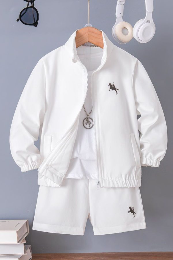 SHEIN 2pcs Young Boy Simple Casual Everyday Long Sleeve Zipper Jacket & Shorts Set