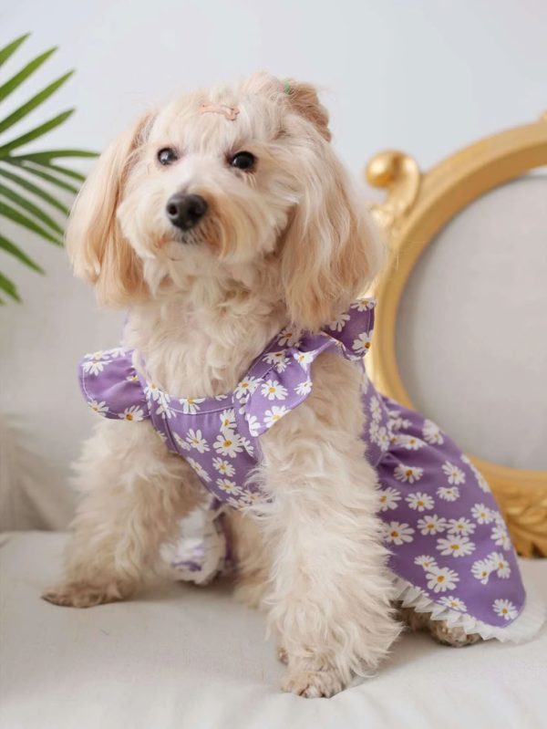 Floral Print Pet Dress