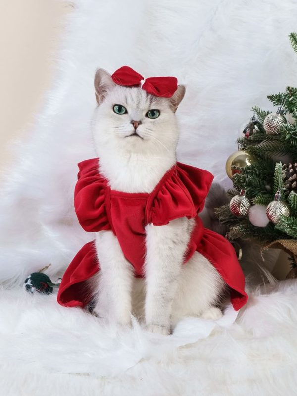 Printed Dress + Bow Tie Pet Clothing Set