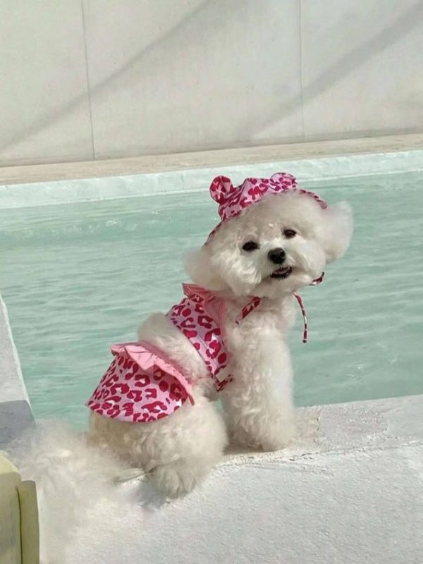 2pcs/set Leopard Print Pet Bikini And Hat, Suitable For Dogs And Cats Swimming