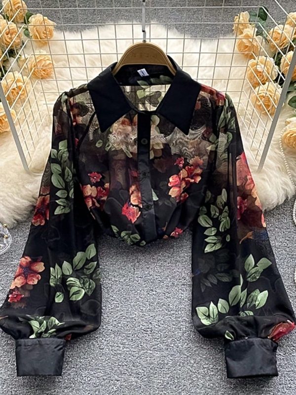 Women's Romantic Vacation Casual Black Chiffon Cutout Lapel Long Sleeve Blouse, Summer