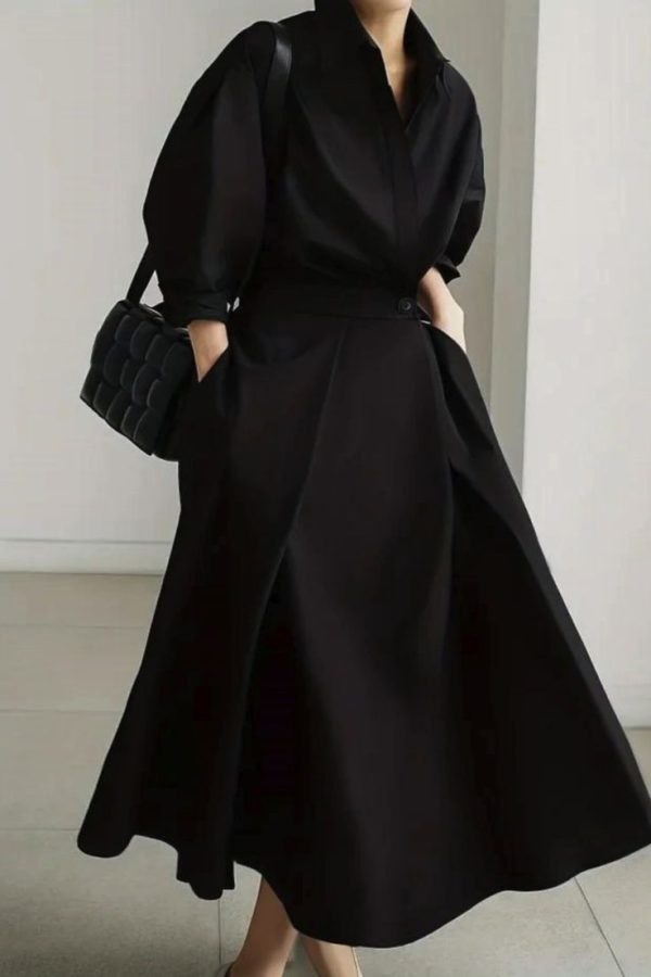 Solid Button Front Maxi Dress, Elegant Long Sleeve Aline Dress For Spring & Fall