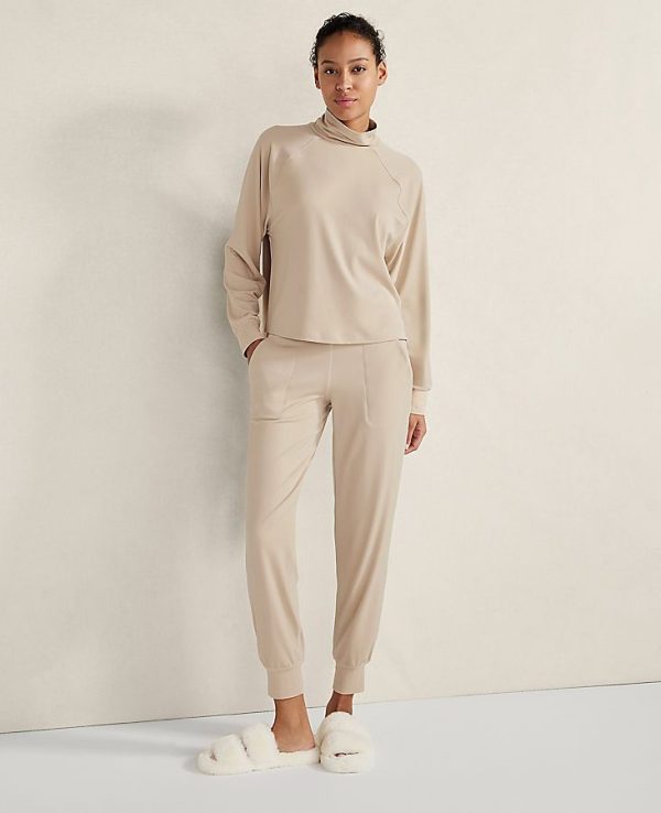 Ann Taylor Haven Well Within Balance Turtleneck Pullover Size Small Dusty Shell Top Women's