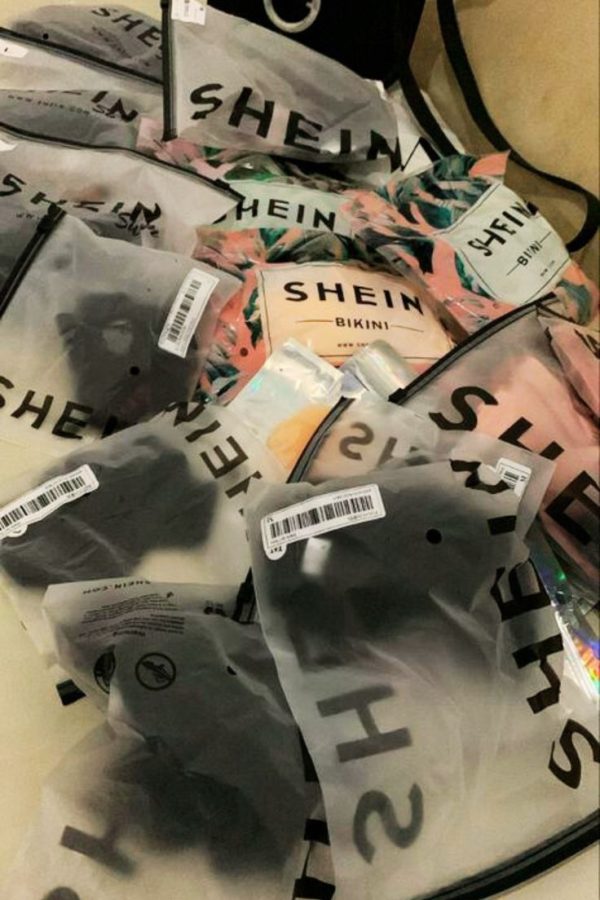 Shein $750 Gift Card Offer,