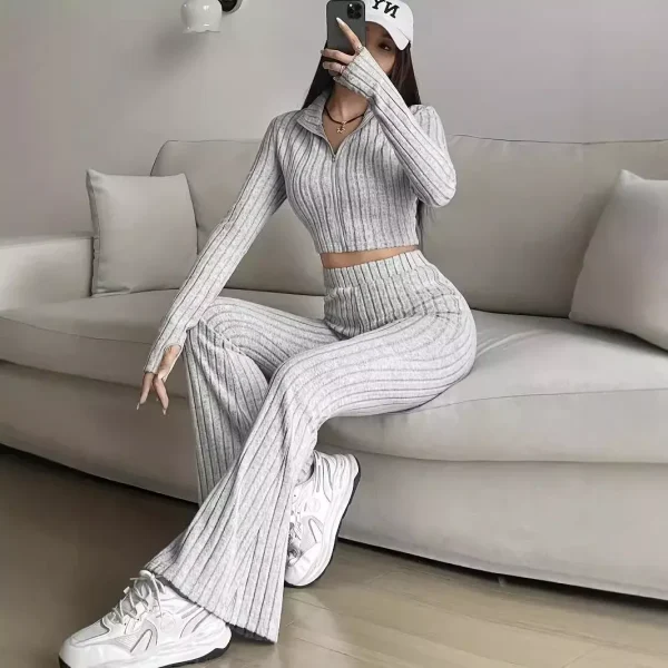 Fashionable Solid Color Striped 2-Piece Set Zipper Long Sleeve Cropped Top And High-Waisted