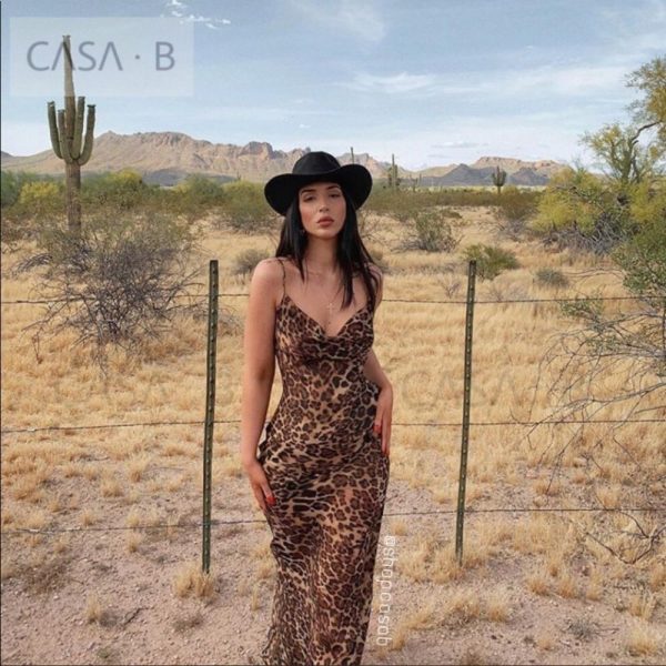 Casa B Dresses | 5casa B |Vivianne Leopard Print Sheer Maxi | Color: Gold | Size: Various