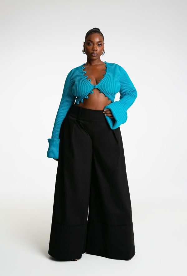 Willow Wide Leg Pants II