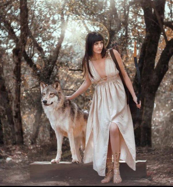 Silk Viking Wedding Dress, Renaissance Dress, Beach Wedding Dress, Medieval Dress, Pagan Wedding Dress, Goddess Dress, Viking Dress - Etsy